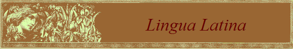 Lingua Latina          